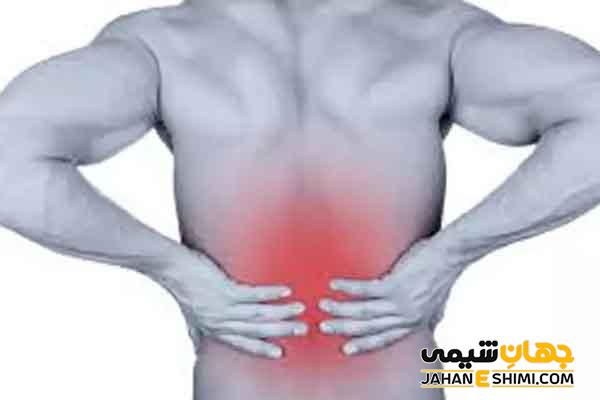 خواص عرق برگ بید چیست؟ فواید، مضرات و قیمت خرید