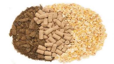 معنی کنسانتره چیست و شامل چه چیزهایی می شود؟