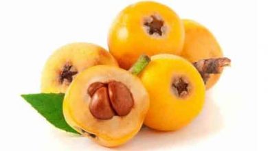 خواص گلابی جنگلی چیست؟ فواید، ارزش غذایی، کاربرد و مضرات آن