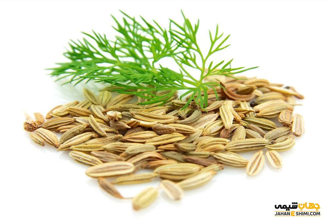 شربت سگا نوز چیست؟ موارد استفاده و نحوه ی مصرف