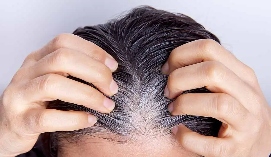 پودر سبوس برنج ناژوانیا چیست؟ از فواید تا عوارض آن