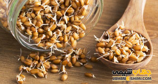 خواص جادویی پودر جوانه گندم که نمی دانید