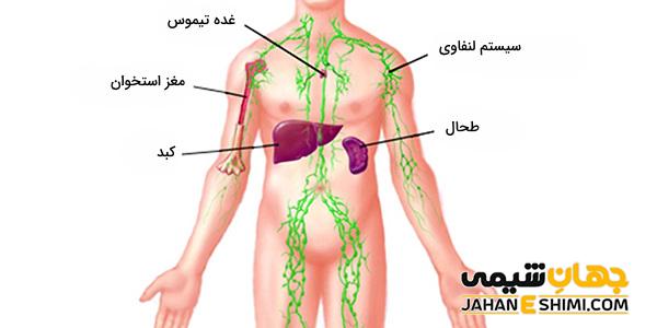 قرص نووهیل چیست؟ چه فوایدی برای سیستم ایمنی دارد؟