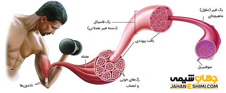 پودر کربو شارژ چیست؟ چه فواید و عوارضی دارد؟