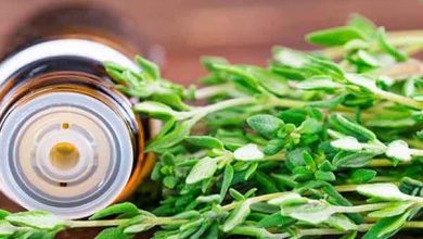 کاربرد اسانس آویشن چیست و چه خواصی دارد؟