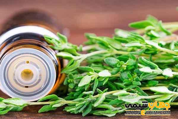 کاربرد اسانس آویشن چیست و چه خواصی دارد؟