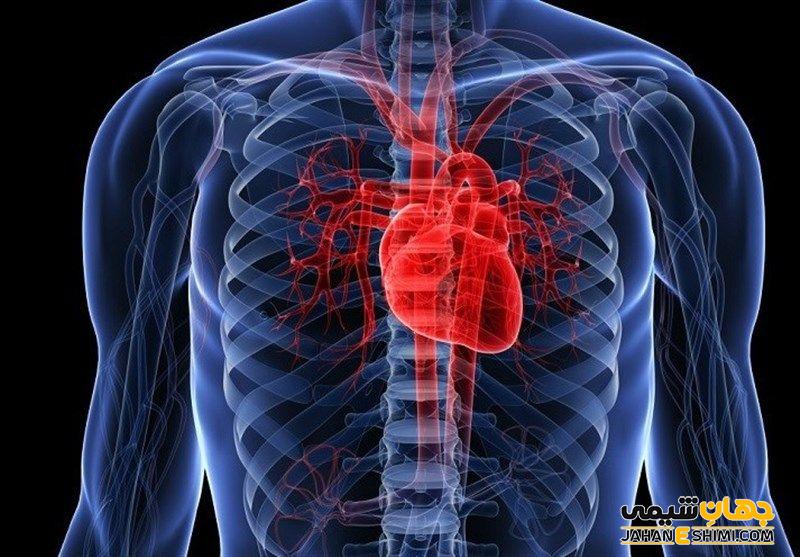 از بروز بیماری های قلبی عروقی جلوگیری می کند