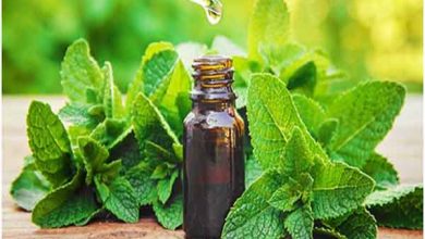 خواص و کاربرد اسانس نعناع چیست؟