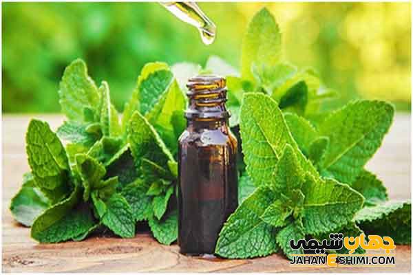 خواص و کاربرد اسانس نعناع چیست؟