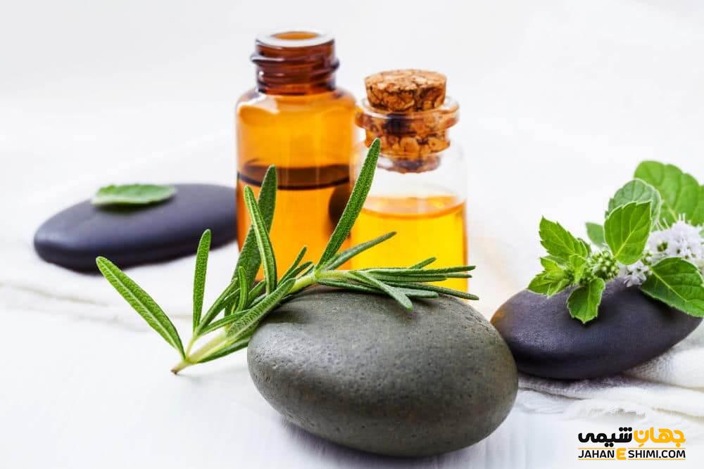 اسانس بلوط چیست و چه فوایدی برای سلامتی و شادابی دارد؟