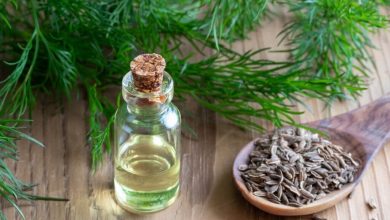 اسانس شوید چیست و از خواص بی نظیر آن چه می دانید؟