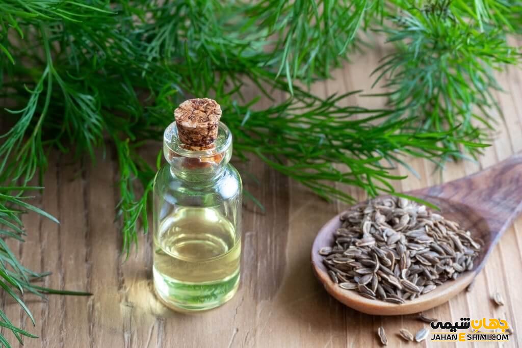 اسانس شوید چیست و از خواص بی نظیر آن چه می دانید؟