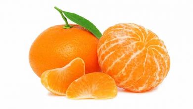 اسانس نارنگی چیست؟ خواص، کاربرد و قیمت خرید آن