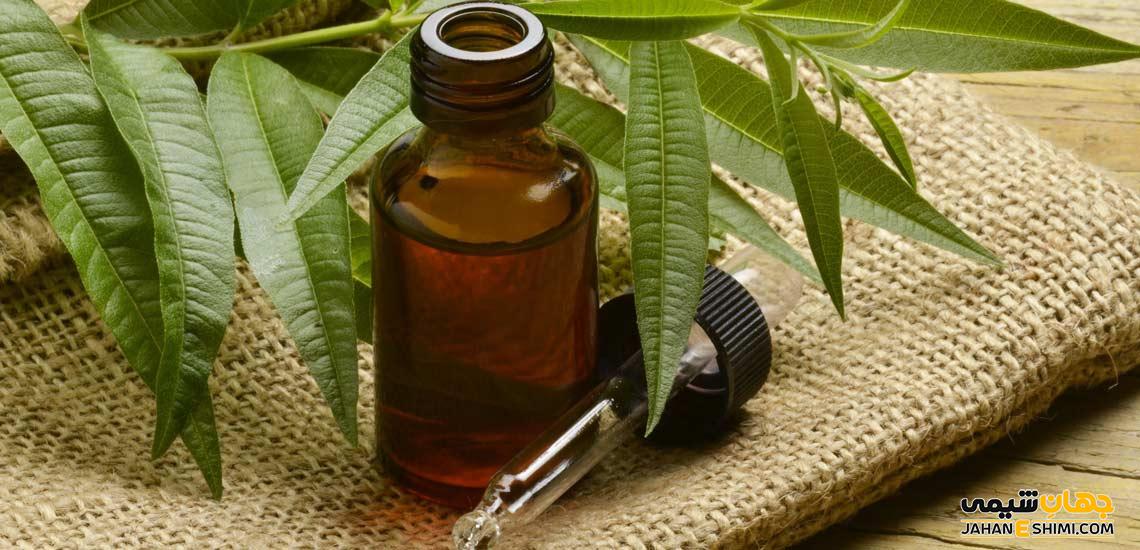 کاربرد اسانس چای سبز و قیمت خرید و فروش آن