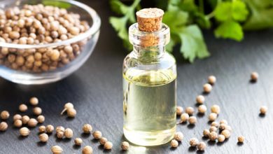 اسانس گشنیز چیست و از فواید درمانی آن چه می دانید؟