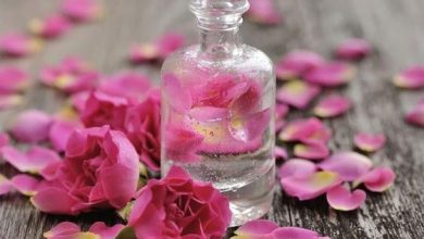 اسانس گل محمدی چیست و از خواص بی نظیر آن چه می دانید؟