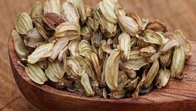 اسانس گلپر چیست ؟ در کدام صنایع کاربرد دارد؟