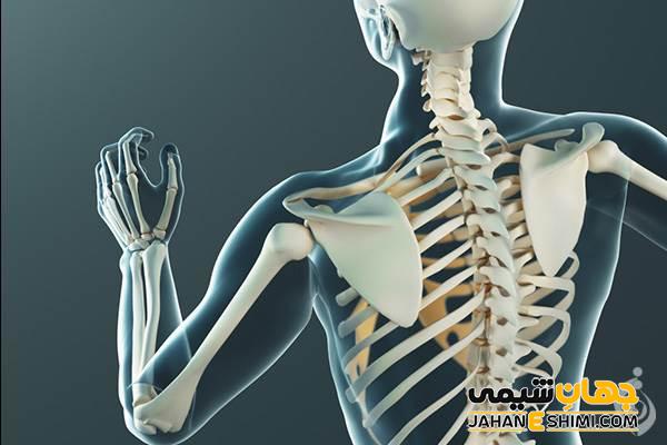 شربت استئوکر چیست؟ چه فواید و عوارضی دارد؟