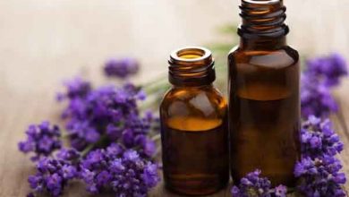 خواص و فواید اسانس اسطوخودوس چیست؟ کاربرد و قیمت خرید آن