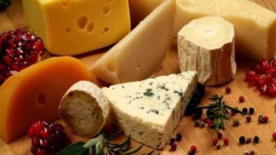 معرفی انواع پنیر و کاربرد های آن ها