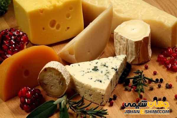معرفی انواع پنیر و کاربرد های آن ها