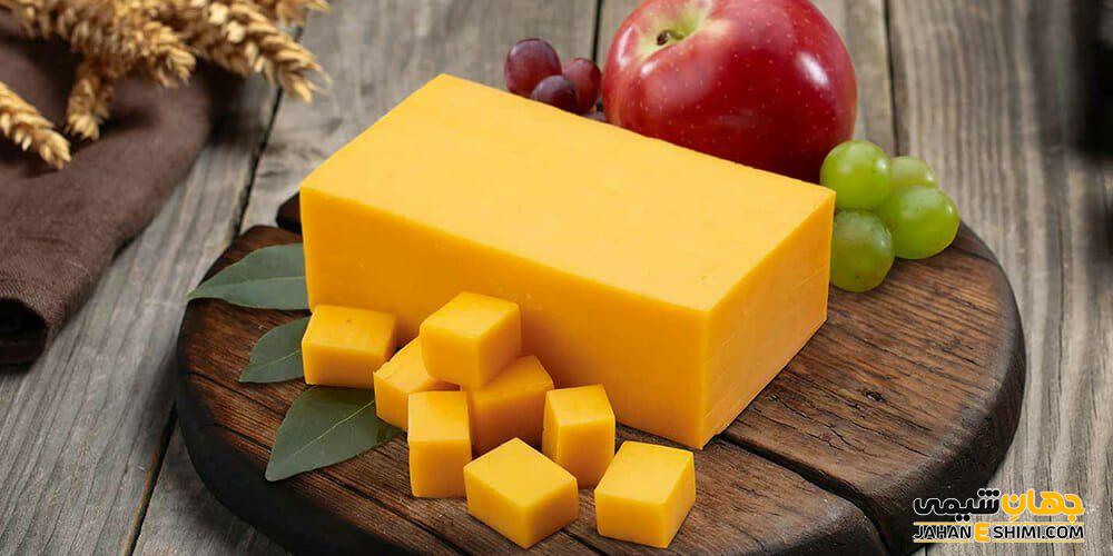 انواع پنیر چدار