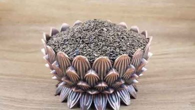 خواص تخم انجره چیست؟ فواید، کاربرد و نحوه مصرف آن