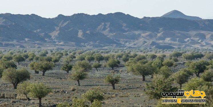 تداخلات دارویی