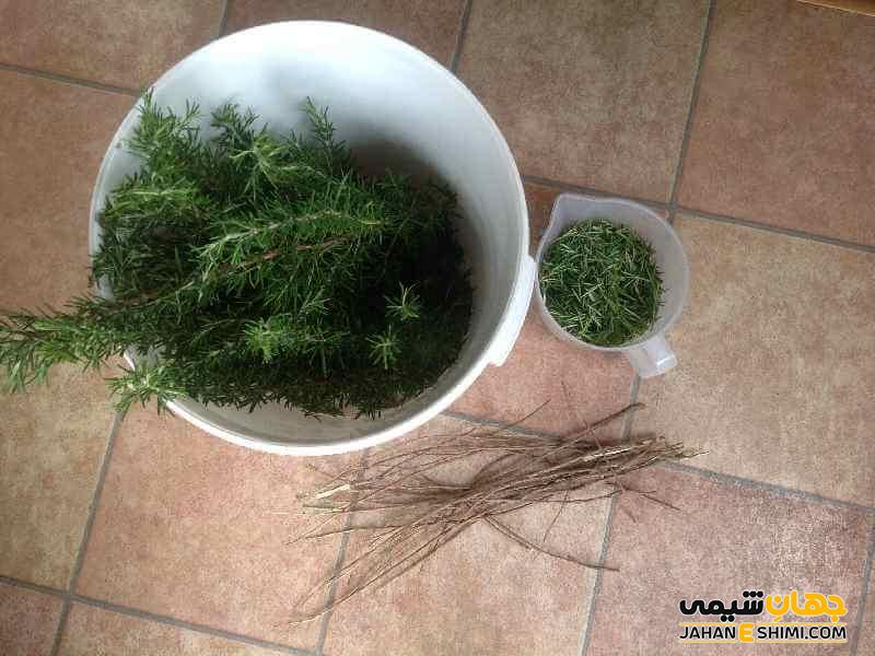 ترکیبات موجود در اسانس شوید