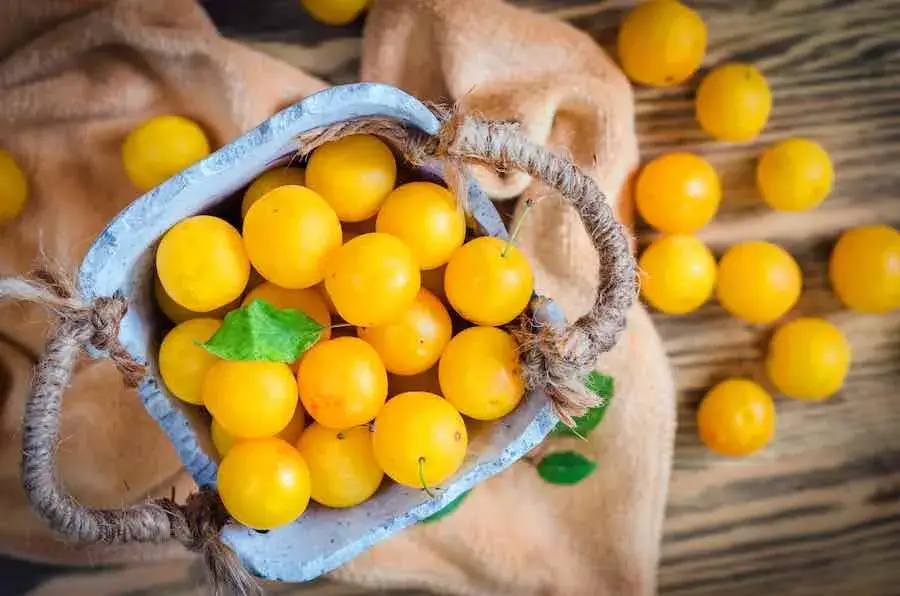 خواص آلو بخارا و ارزش غذایی آن
