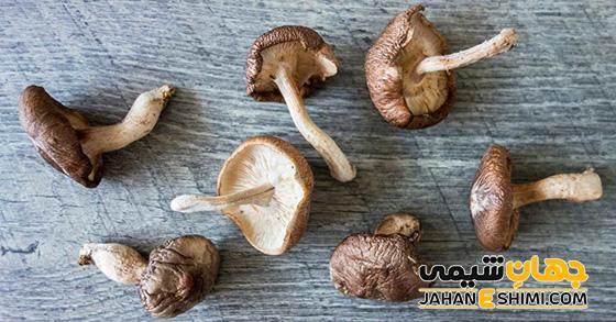 کپسول قارچ دارویی شیتاکه چیست؟ چه کاربردی دارد؟