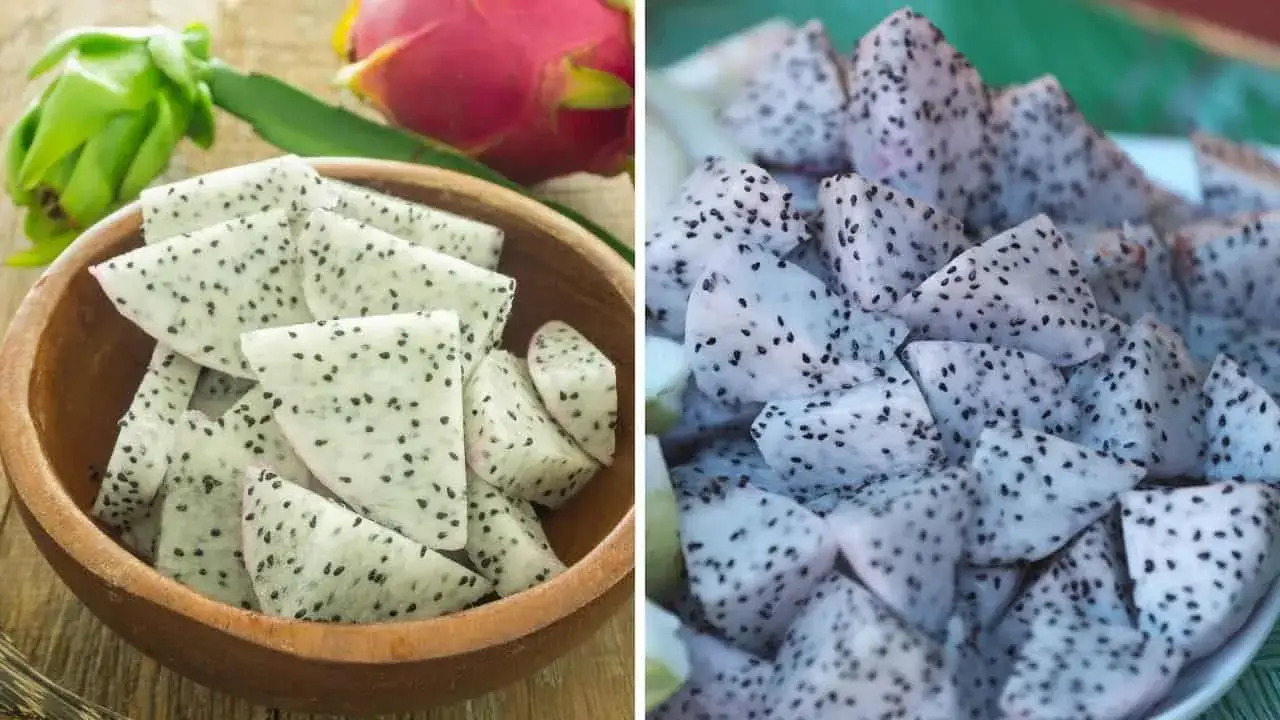 خواص میوه اژدها یا دراگون فروت