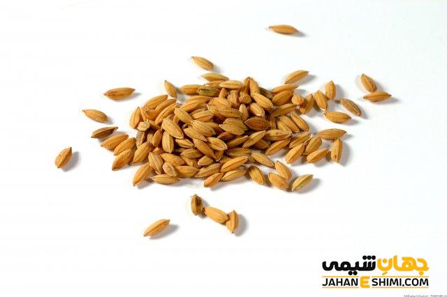 پودر سبوس برنج ناژوانیا چیست؟ از فواید تا عوارض آن