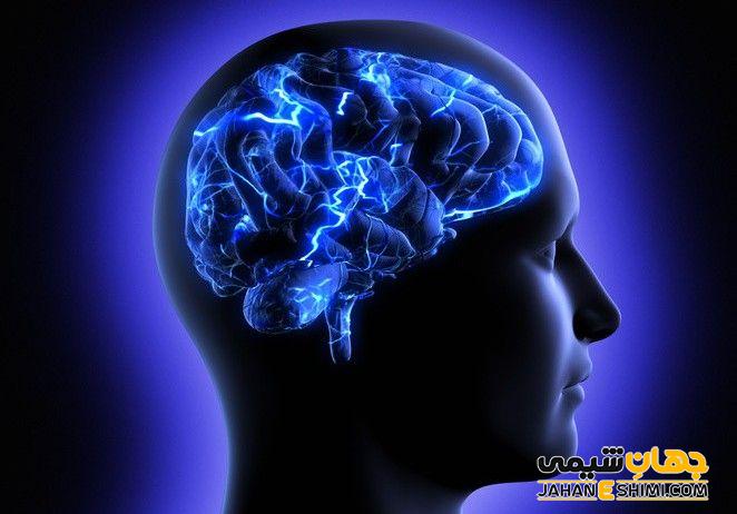 عملکرد مغز و حافظه را بهبود می بخشد