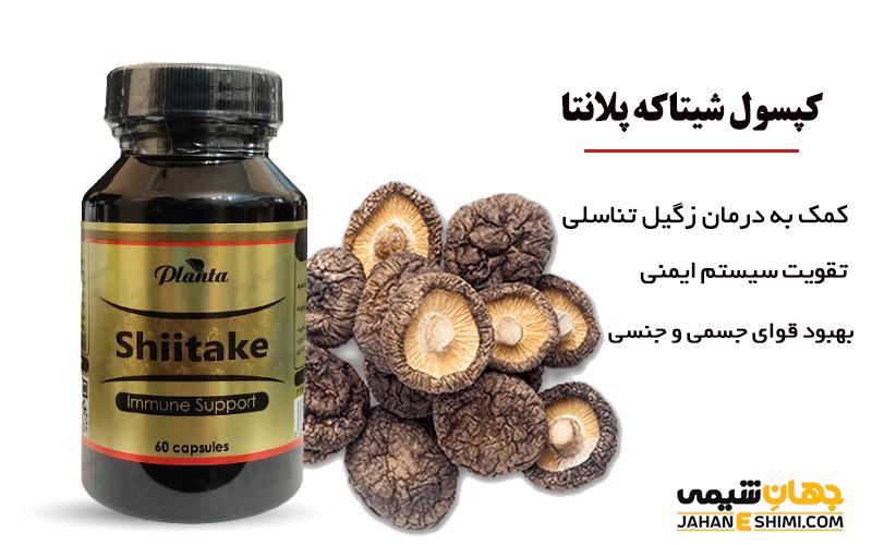 کپسول قارچ دارویی شیتاکه چیست؟ چه کاربردی دارد؟