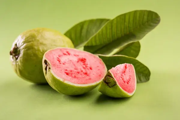 قیمت هر کیلو گواوا