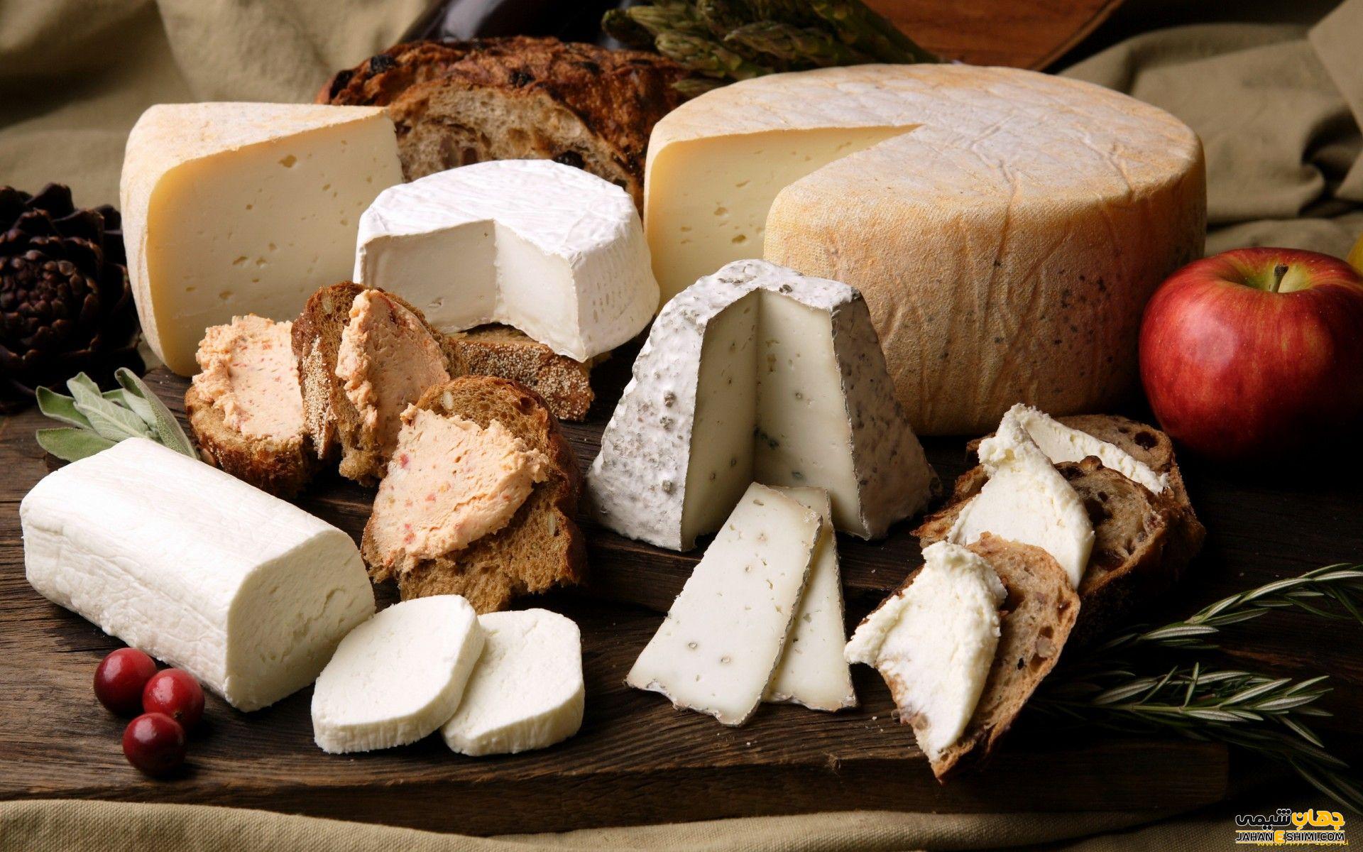 مهم ترین تفاوت پنیر چدار و گودا چیست؟