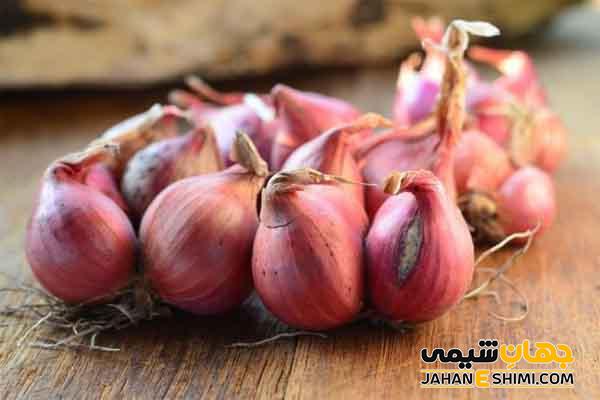 از موسیر و خواص آن چه می دانید؟!