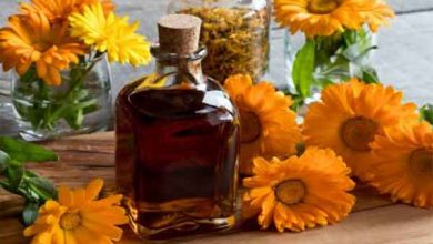 خواص اسانس همیشه بهار چیست؟ ترکیبات، کاربرد و قیمت خرید آن