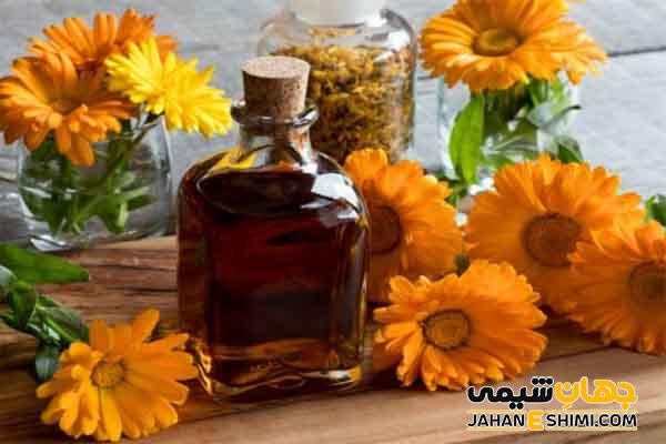 خواص اسانس همیشه بهار چیست؟ ترکیبات، کاربرد و قیمت خرید آن