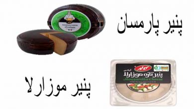 تفاوت پنیر پارمزان و موزارلا
