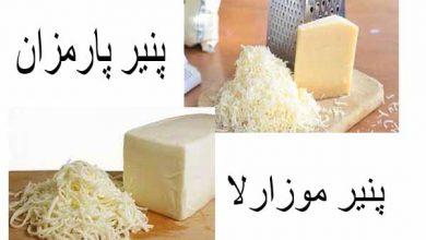 درباره تفاوت پنیر پارمزان و موزارلا بیشتر بدانید؟!