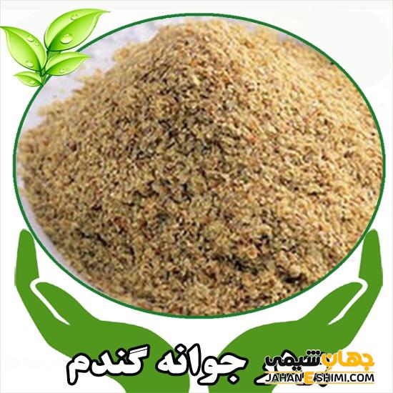 خواص جادویی پودر جوانه گندم که نمی دانید