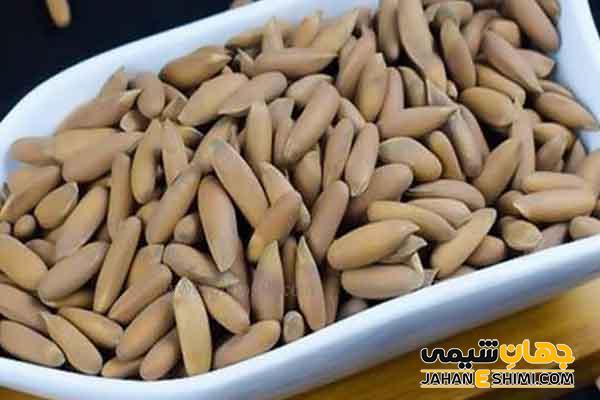 خواص آجیل چلغوز چیست؟ مزایا و معایب و قیمت خرید آن
