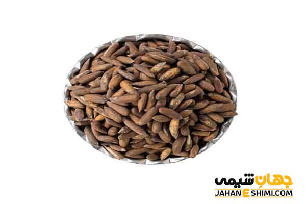 خواص آجیل چلغوز چیست؟ مزایا و معایب و قیمت خرید آن