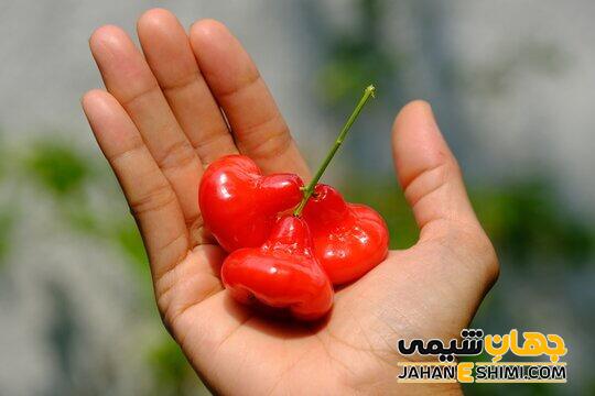 کاربردهای درمانی سیب آبی