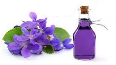 کاربرد اسانس گل بنفشه چیست؟ از خواص آن چه می دانید؟