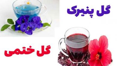 تفاوت پنیرک و ختمی