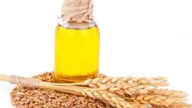از خواص و کاربرد اسانس جو چه می دانید؟!