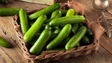 اسانس خیار چیست؟ از ویژگی ها و خواص آن چه می دانیم؟